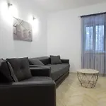 Spacious Apartment Erol