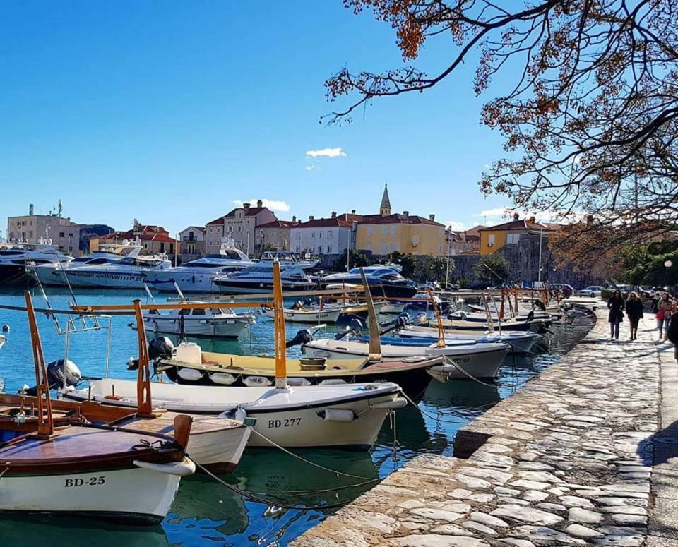 Spacious Erol Budva